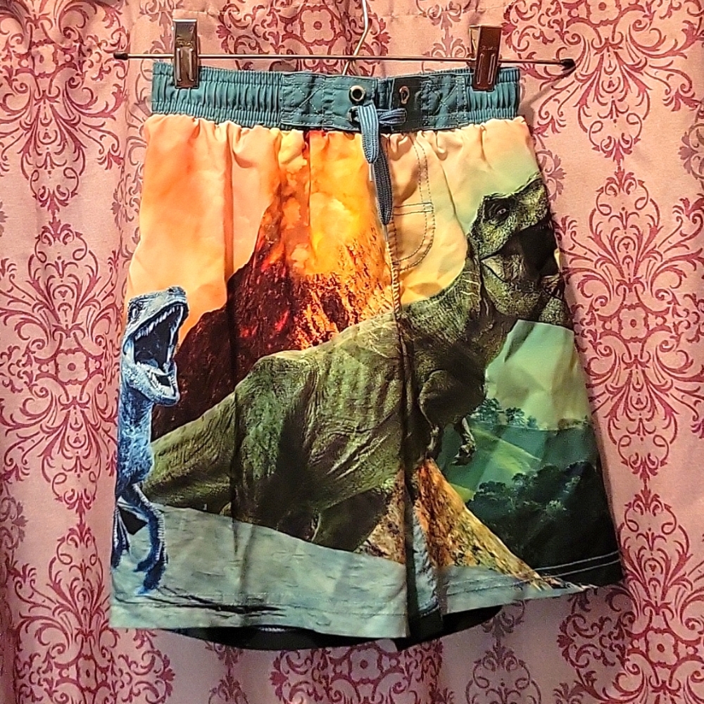 Jurassic World Kid's Swim Trunks